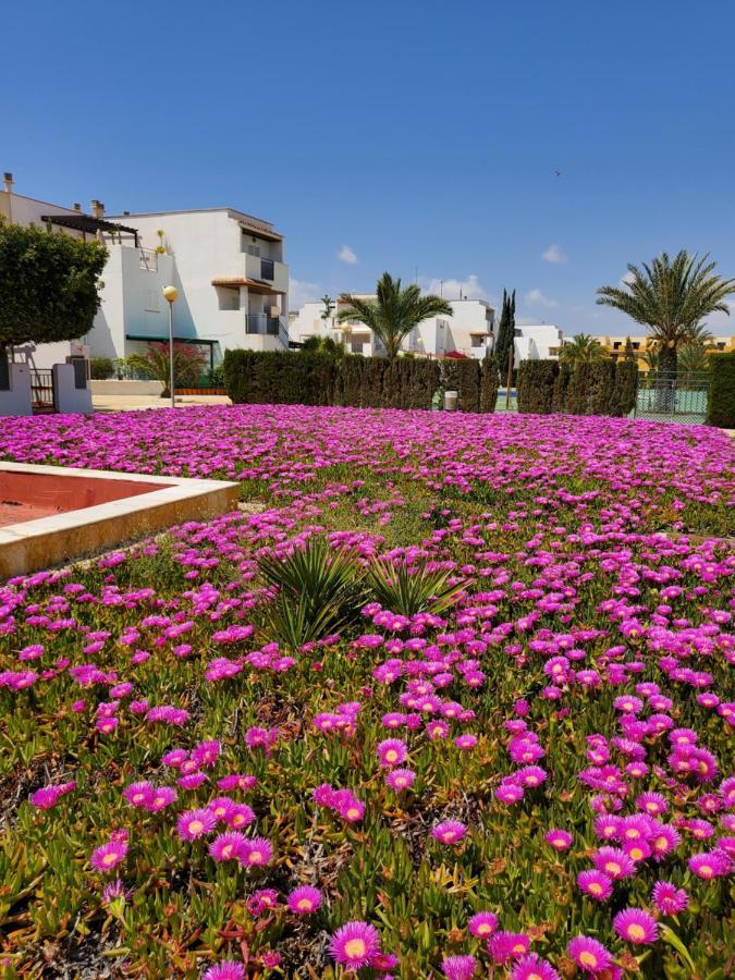 Duplex Espectacular En Primera Linea Naturista! Las Bombardas ภายนอก รูปภาพ